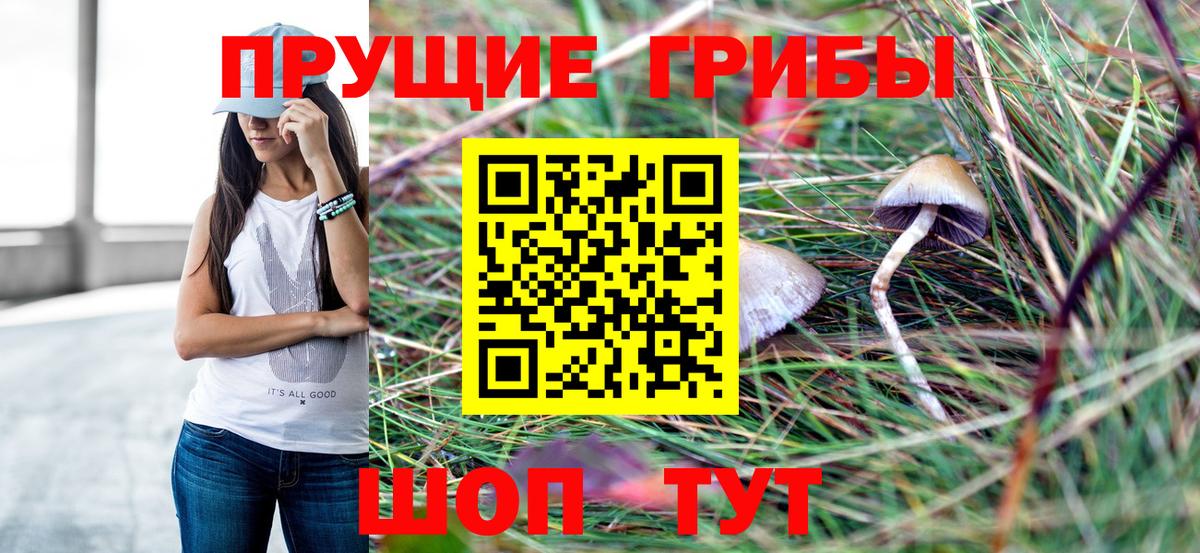 Псилоцибиновые грибы Psilocybine cubensis  Псилоцибиновые грибы Psilocybine cubensis  Всеволожск  Вход с VPN 